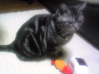 リュウとエビ天
