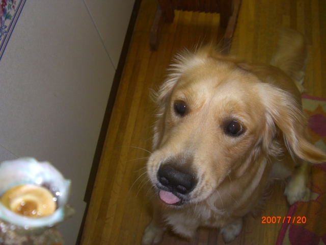2007年07月20日_CIMG0837.JPG