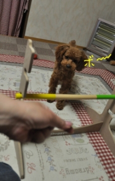 0206-02.jpg