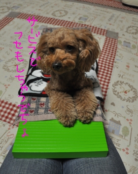 0206-11.jpg