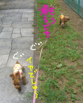 0805-07.JPG