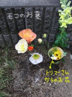 0201-01.jpg