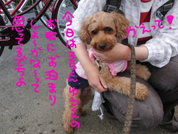 0605-03.JPG