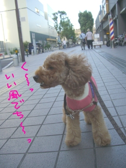 0725-13.JPG