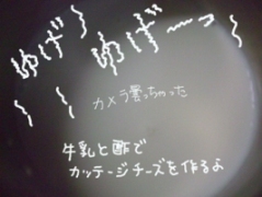 0308-03.jpg