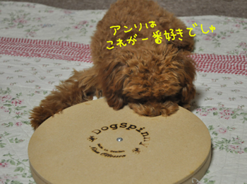 0821-09.JPG