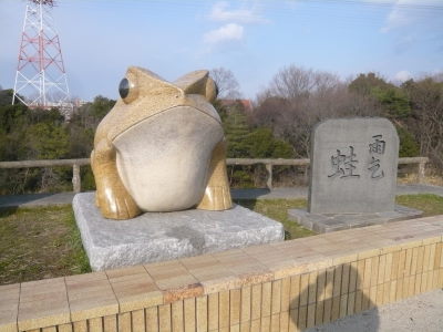 雨乞蛙