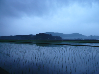 蒲生野雪野山