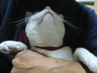 たま確保５