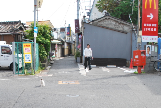 貝塚駅の猫１