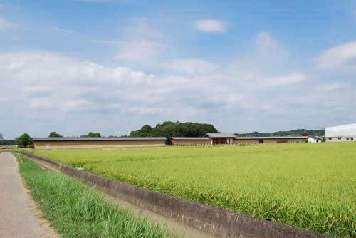 平城宮跡4