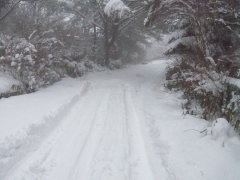 山荘の表の道