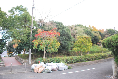 捕鳥部万のお墓3