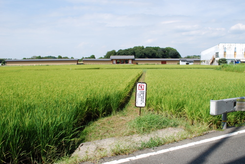 平城宮・東院庭園