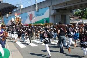 岸和田だんじり祭4