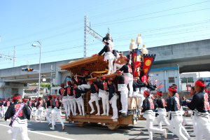 岸和田だんじり祭6