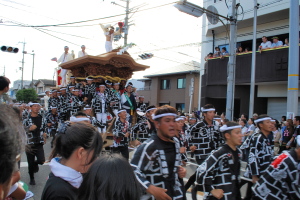 岸和田だんじり祭10