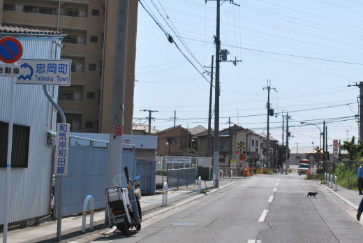 熊野古道　忠岡町1