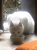 ちろ二日目２