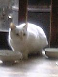 ちろ二日目３