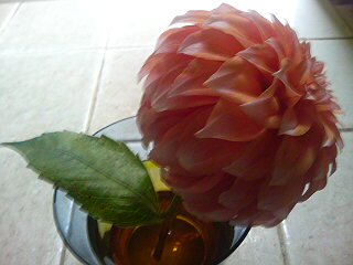 20070316115911.jpg