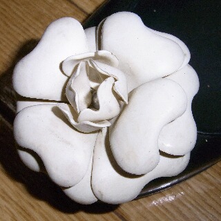 RIMG0016.JPG