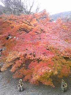 京都３