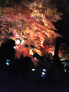 京都４