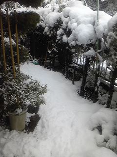 雪２