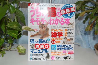 猫雑誌