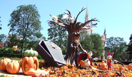 HALLOWEEN31
