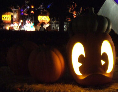 HALLOWEEN35