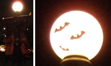 HALLOWEEN43