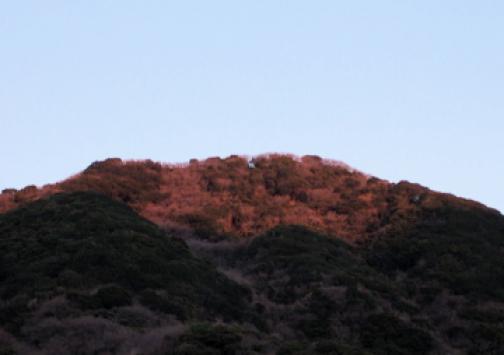 吉田の山