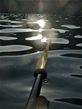 ブライト・パドル