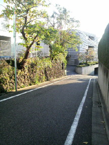 2009-11-15 17:13:25