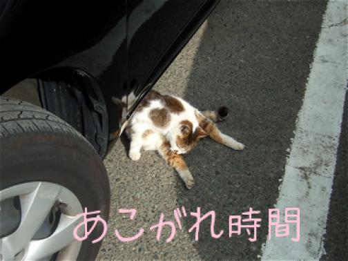 あこがれ時間