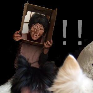 342days 2.jpg