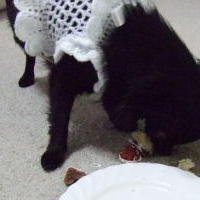 真っ白ニット 4.jpg