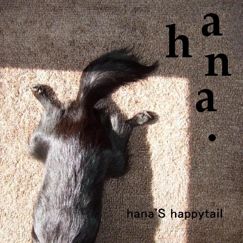 hana's happytail.JPG