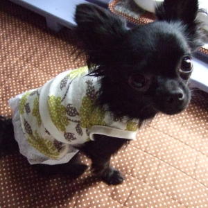 tipsmode ドット花柄ワンピ 2.jpg