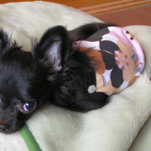 ＨＡＮＡキャミ 1.jpg