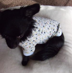 tipsmode 花長袖Ｔ 2.jpg