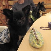 07-7-2 08 ギャラ、たかいよ？.JPG