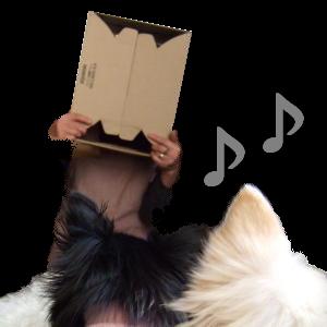 342days 1.jpg