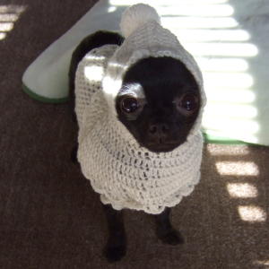 白ずきんとチョッキ 2.jpg