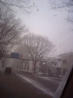 20080209-01.jpg