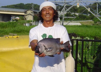 銀ワサ　２.jpg