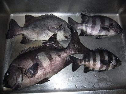 石物.jpg