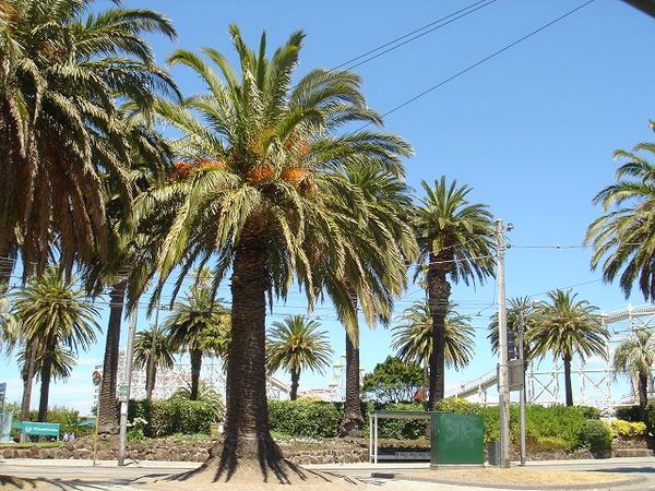 ルナパークの駐車場